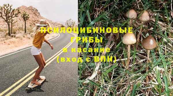 2c-b Балахна